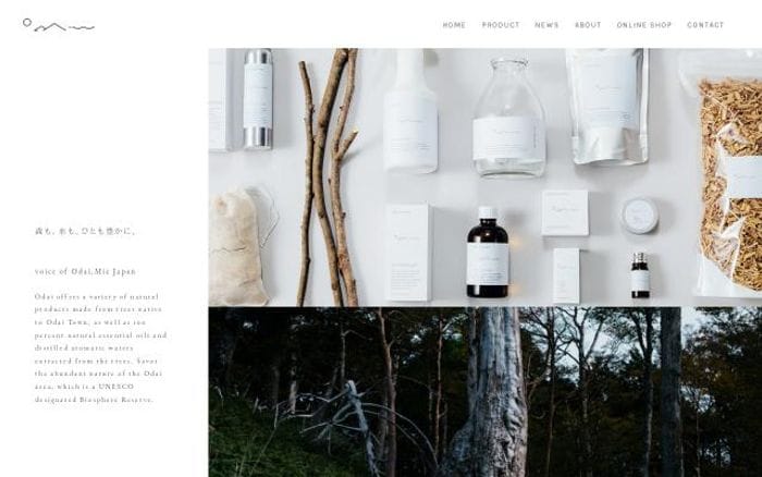 Voice-odai website preview