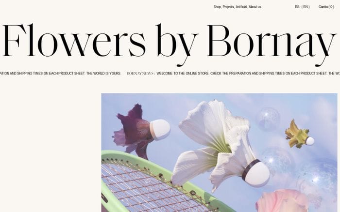 Flowers by Bornay website preview