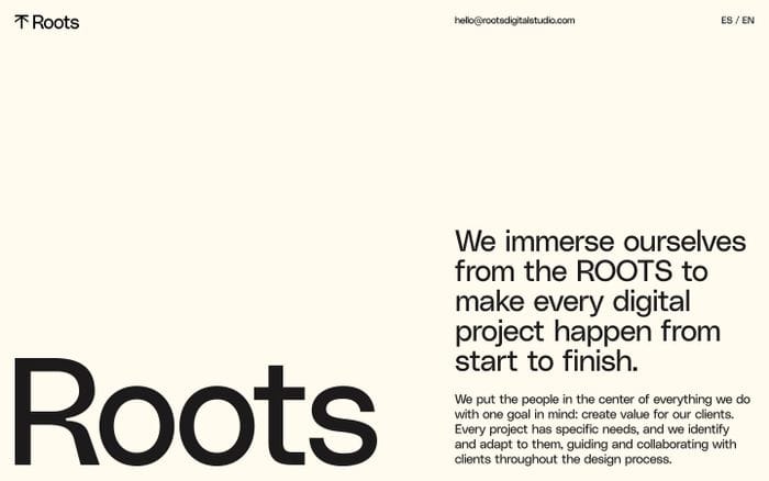 Roots Digital Studio website preview