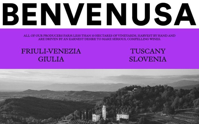 Benvenusa website preview
