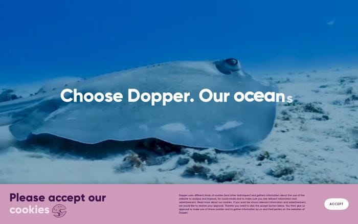 Dopper website preview