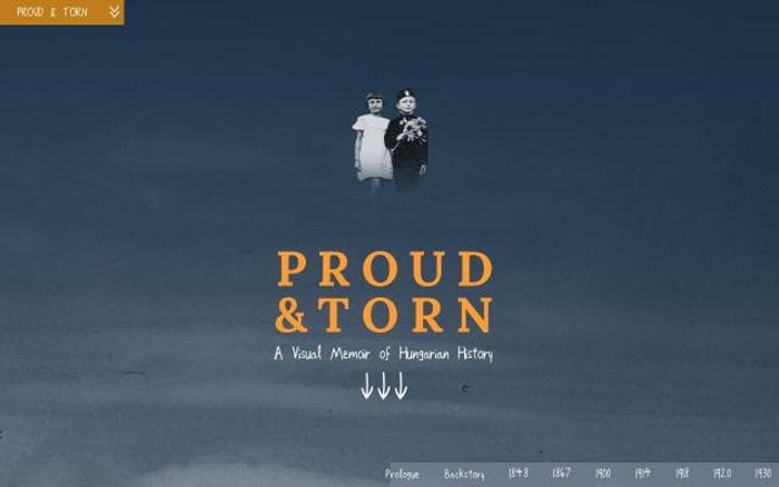 Proudandtorn website preview