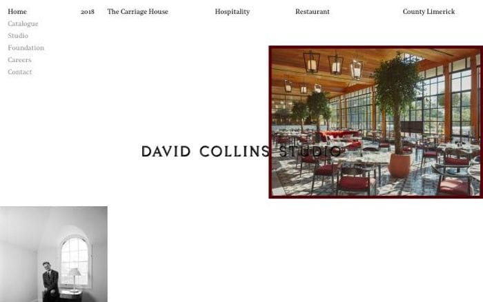 Davidcollins website preview