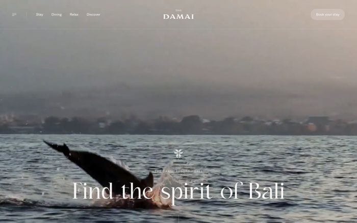 The Damai website preview