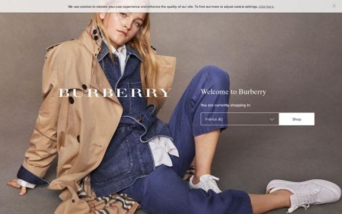 Burberry website preview