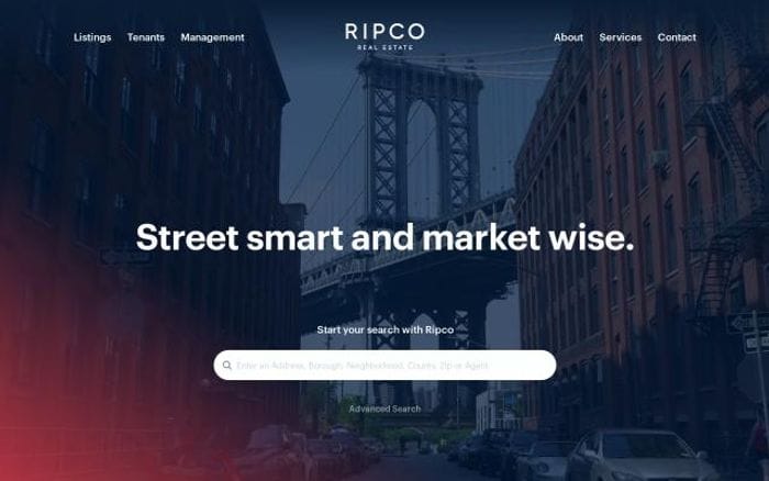 Ripcony website preview