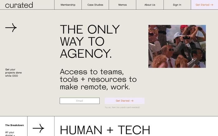Curated website preview