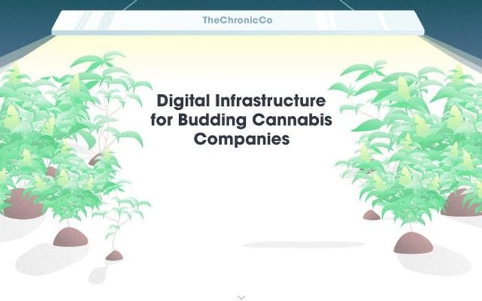 Thechronic website preview