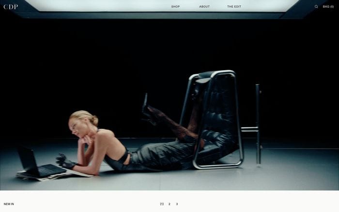 Cdp website preview