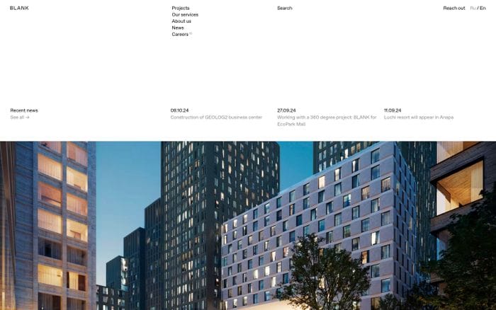 Blank website preview