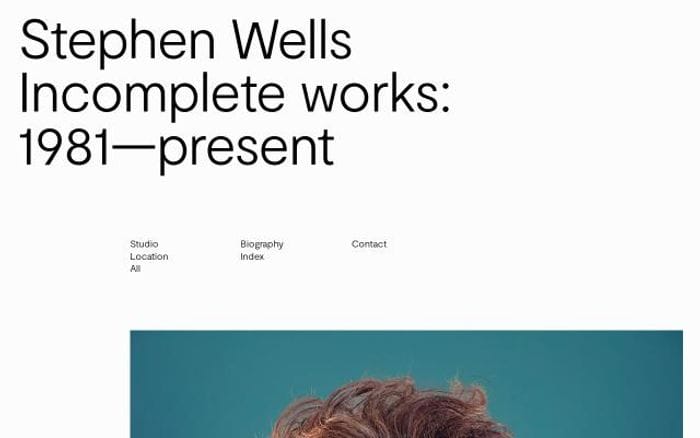 Stephen-wells website preview
