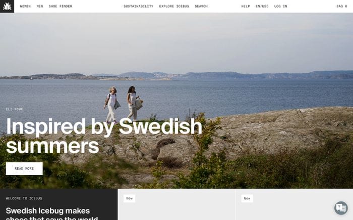 Icebug website preview