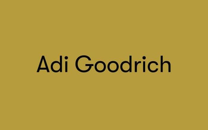 Adigoodrich website preview