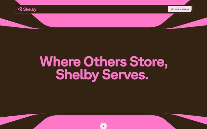 Shelby website preview