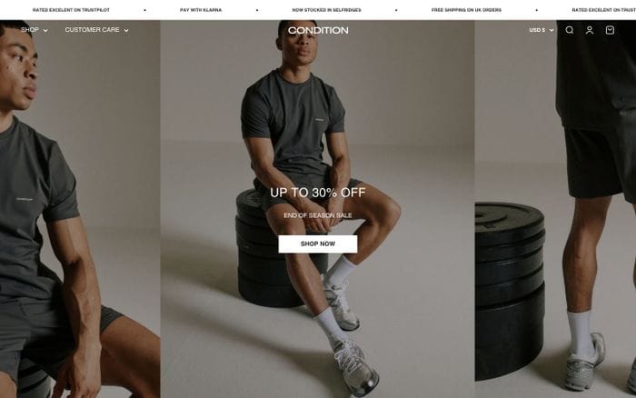 Condition website preview