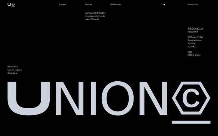 Union website preview