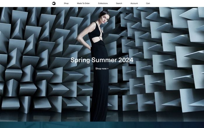 Coperni website preview