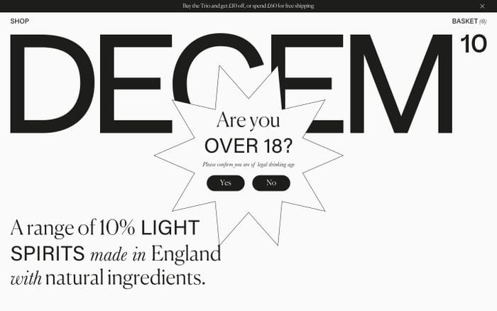 Decem website preview