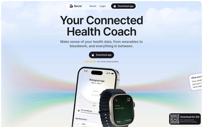 Bevel website preview