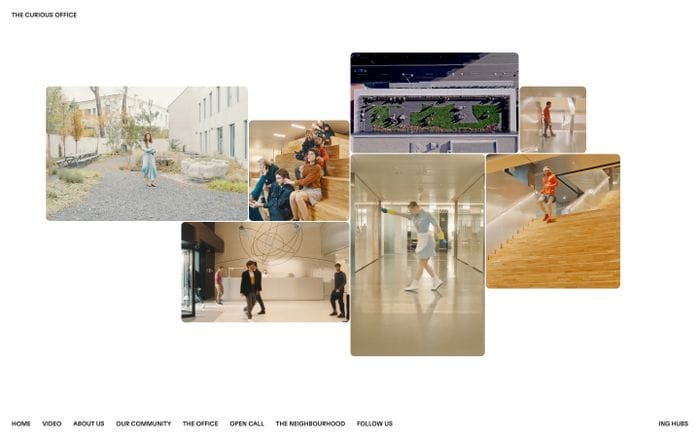 The Curious Office website preview