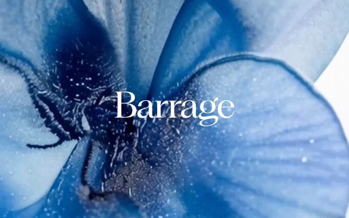 Barrage website preview