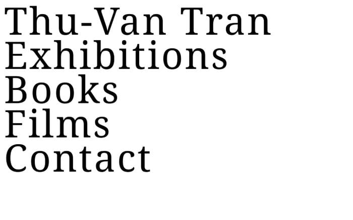 Thu-Van Tran website preview