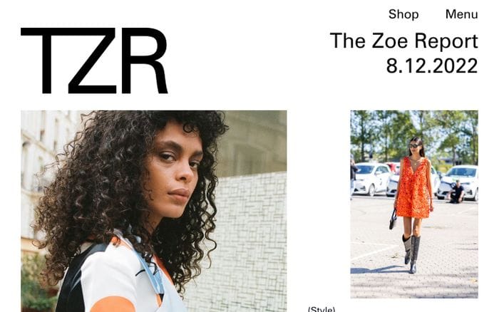 The Zoe Report website preview