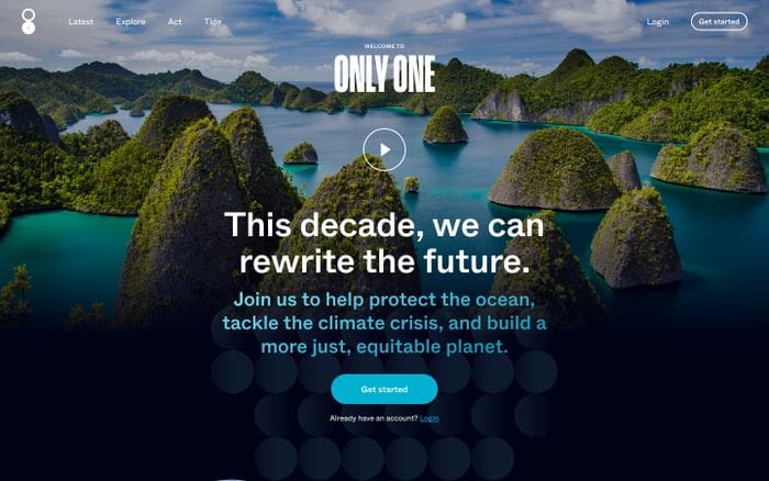 Only One website preview