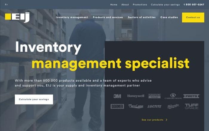 Eij website preview