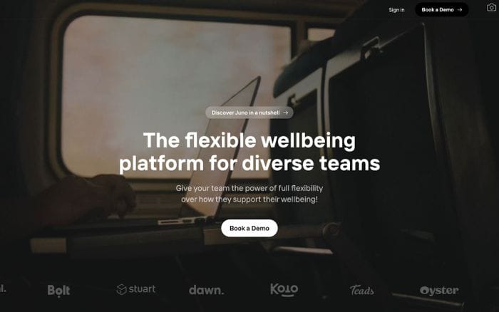 Juno website preview