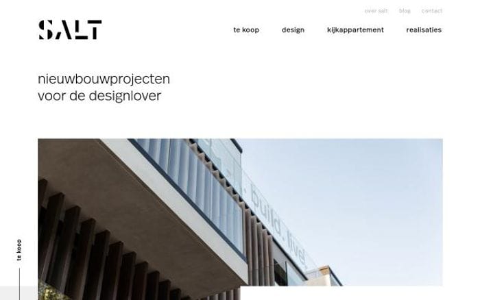Salt-projects website preview