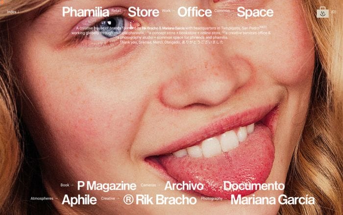 Phamilia website preview