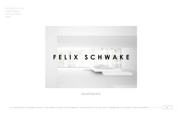 Felixschwake website preview