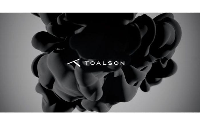 Toalson website preview