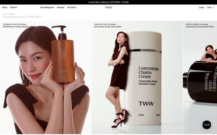 TWW Therapy website preview