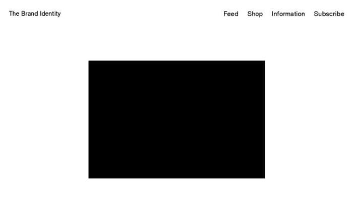 The-brandidentity website preview