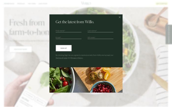 Willo website preview