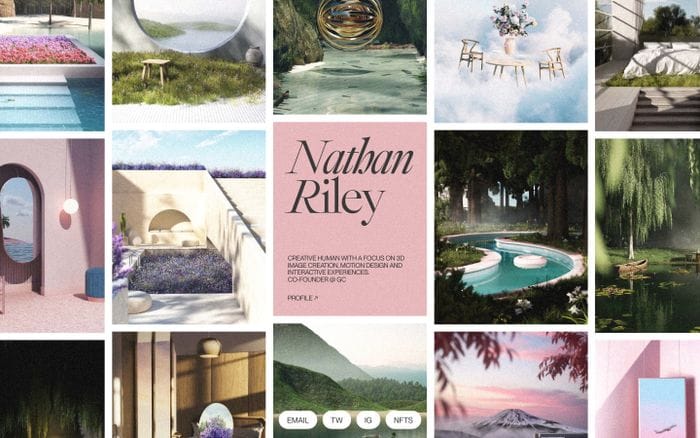 Nathan Riley website preview