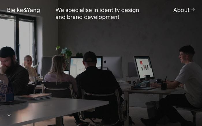 Bielke&Yang website preview