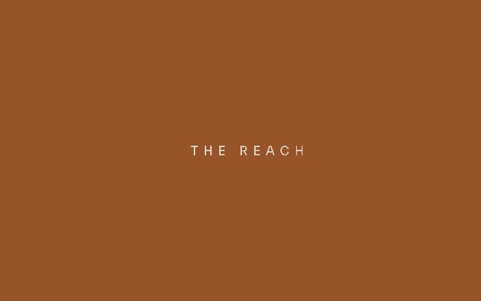 The Reach website preview