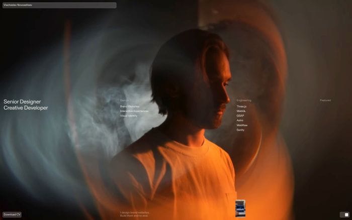 Viacheslav Novoseltsev website preview