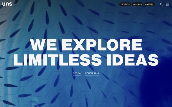 UNS website preview