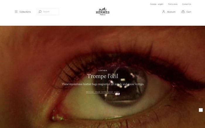 Hermes website preview