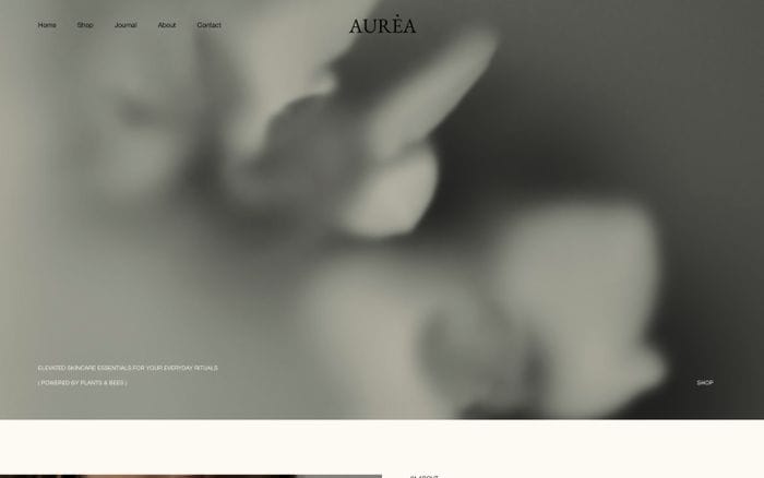 Aurea website preview