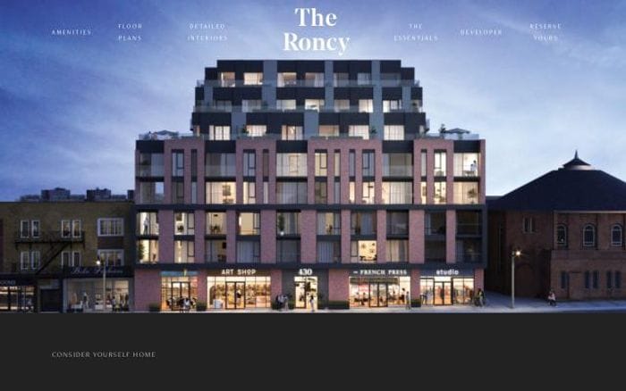 Theroncy website preview