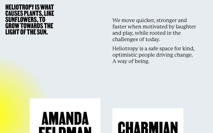 Heliotropy website preview