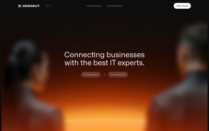Odinaut website preview