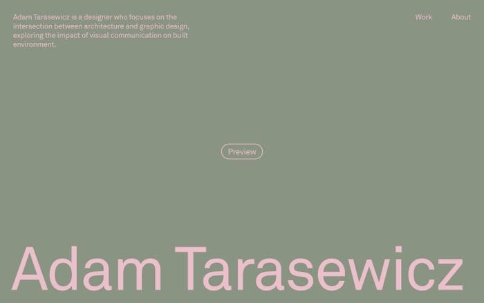 Adam Tarasewicz website preview