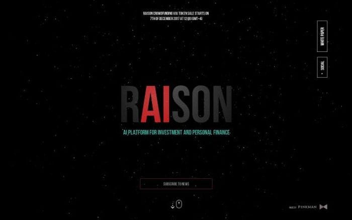 Raison website preview