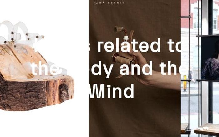 Janazornik website preview
